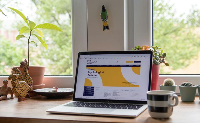 Сайты и ссылки на платформы: как селлеру работать только с официальными порталами Яндекс Маркета и Wildberries в 2026 году