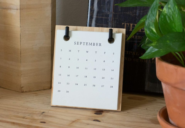 Что меняется у селлеров на Wildberries, Ozon и Яндекс Маркете за 16–22 февраля 2026: главные обновления, риски и что сделать в кабинете