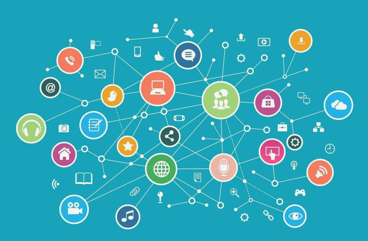 Свой бренд на Ozon или представительство: что выгоднее и как начать